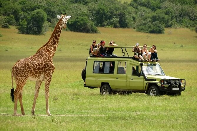 3 Days Safari Ngorongoro Crater and Serengeti National Park - Guides, Communication, and Group Size