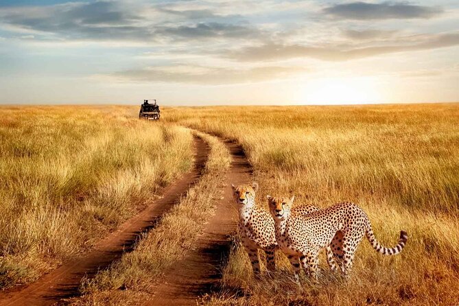 3 Days Safari to Serengeti National Park & Ngorongoro Crater in Tanzania - Day one: the long road into Serengeti