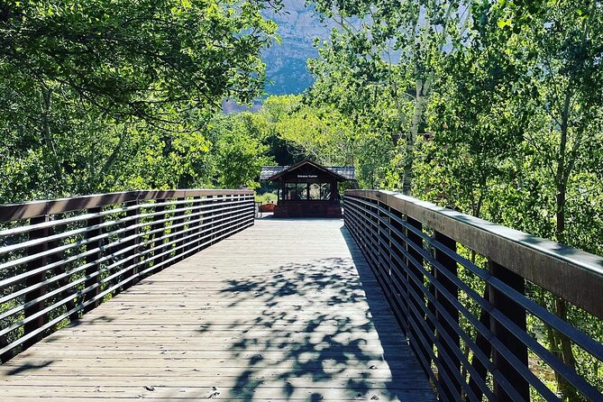 3 Hour Guided E Bike Tour in Zion National Park - Why an e-bike works so well in Zion