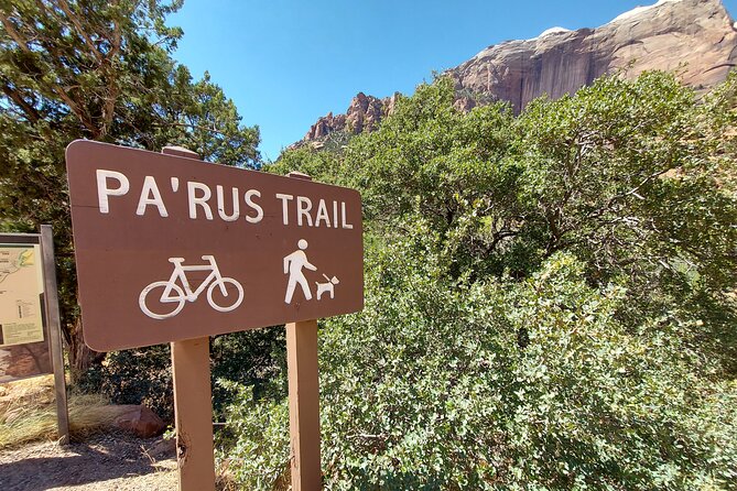 3 Hour Guided E Bike Tour in Zion National Park - Who should book this Zion e-bike tour
