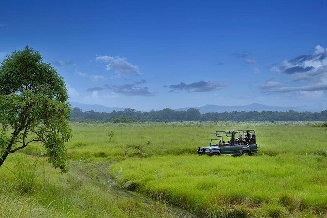 3 Nights 4 Days Chitwan National Park with Tower Night Stay - Why this Chitwan package works well