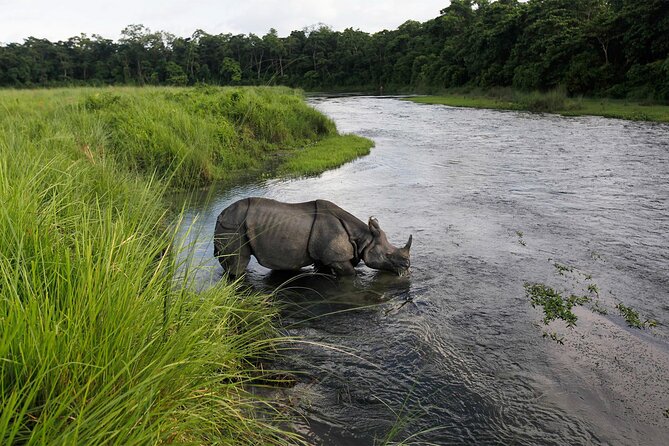 3 Nights 4 Days Chitwan National Park with Tower Night Stay - Day two: canoeing, crocodiles, and the tower after dark