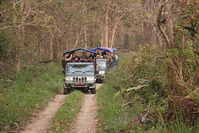3 Nights 4 Days Chitwan National Park with Tower Night Stay - Day four: a simple return to Kathmandu or Pokhara