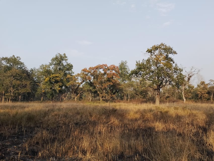 3 Nights 4 Days Chitwan National Park with Tower Night Stay - Who should book this experience?