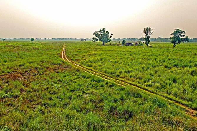 3 Nights 4 Days Chitwan National Park with Tower Night Stay - Day 1: The long road from Kathmandu or Pokhara