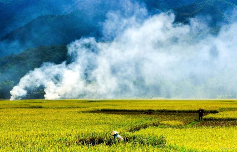 3D2N Mai Chau - Pu Luong from rice valley to nature reserve - From Hanoi to the rice fields of Mai Chau