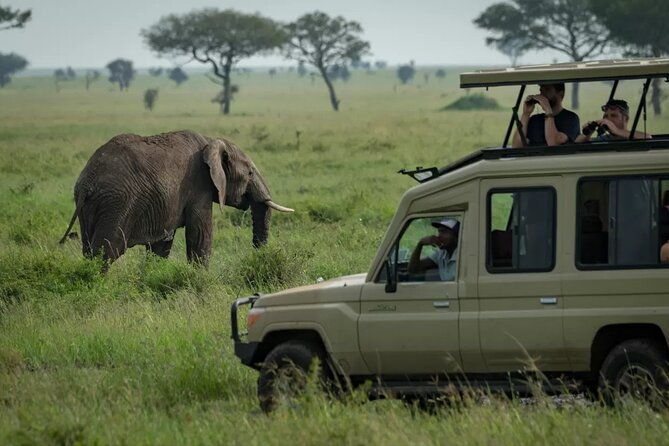 4 Day Ngorongoro Crater Tarangire and Serengeti National Park - Who should book this safari