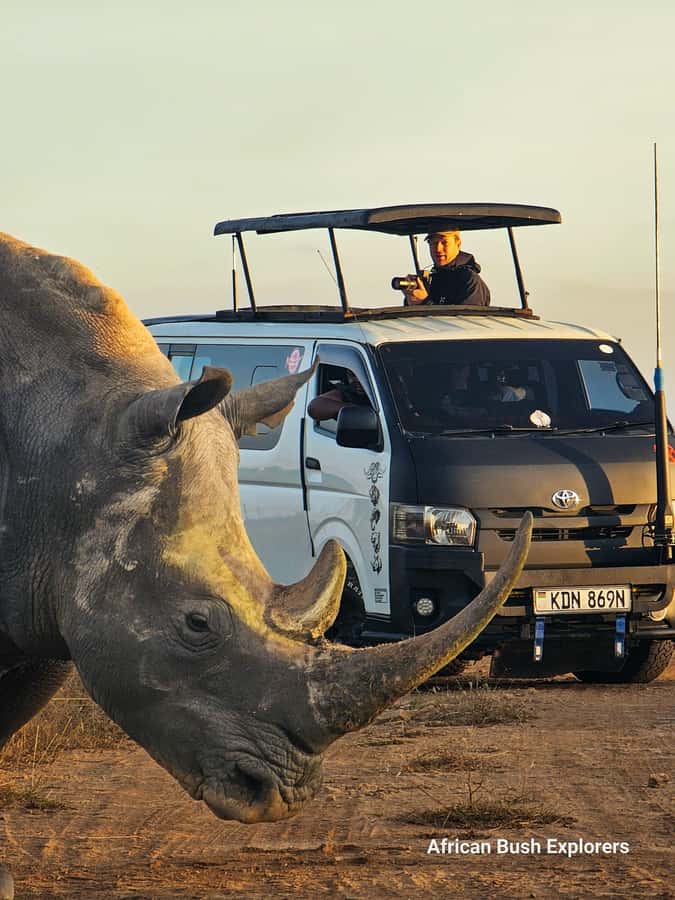 5-Hour Nairobi National Park 4x4 Safari with Free Pickup - Wildlife you may see from the 4x4