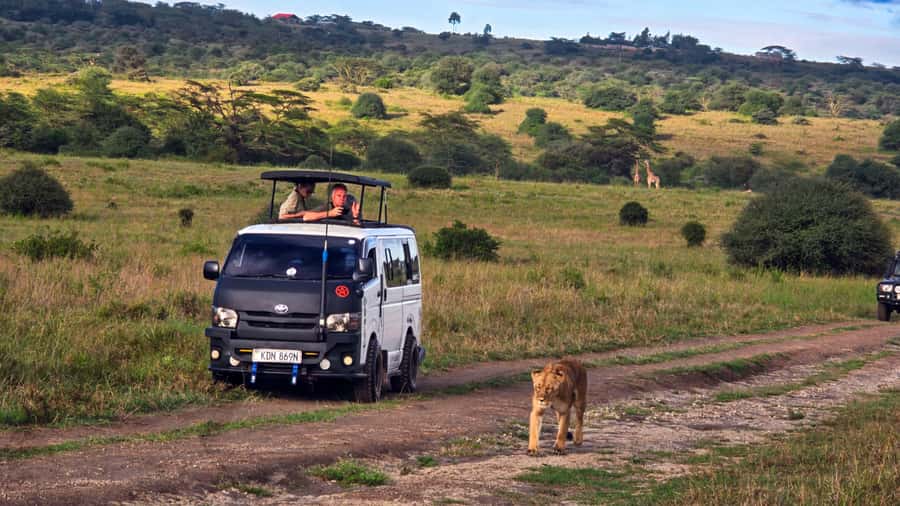 5-Hour Nairobi National Park 4x4 Safari with Free Pickup - What the five-hour outing looks like