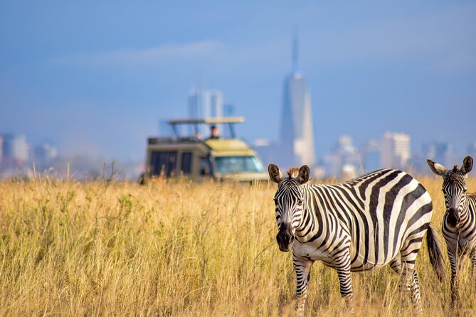 5Hrs Nairobi National Park MorningEvening gamedrive 4x4 vehicle - Pickup, airport connections, and timing