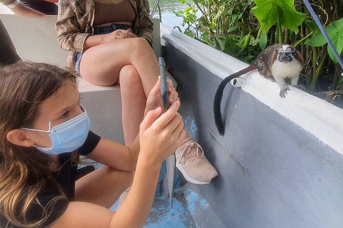 7 Hours Monkey Island and Nature Walk at Soberania National Park - Is $120 a fair price?