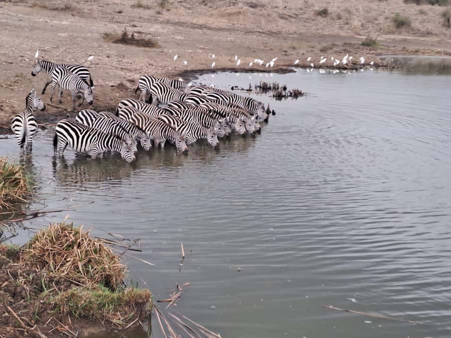 A day tour; Lake Nakuru national park& L. Naivasha Boat ride - The road to Lake Naivasha and the lunch stop