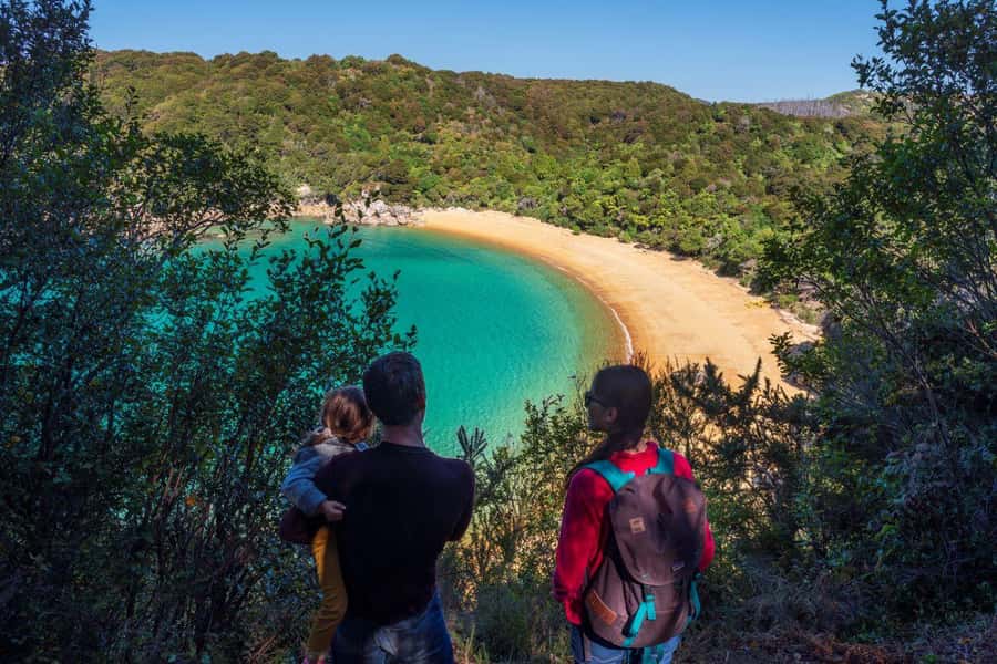 Abel Tasman National Park: Cruise and Hike Full-Day Tour - From Nelson to Kaiteriteri by comfortable van