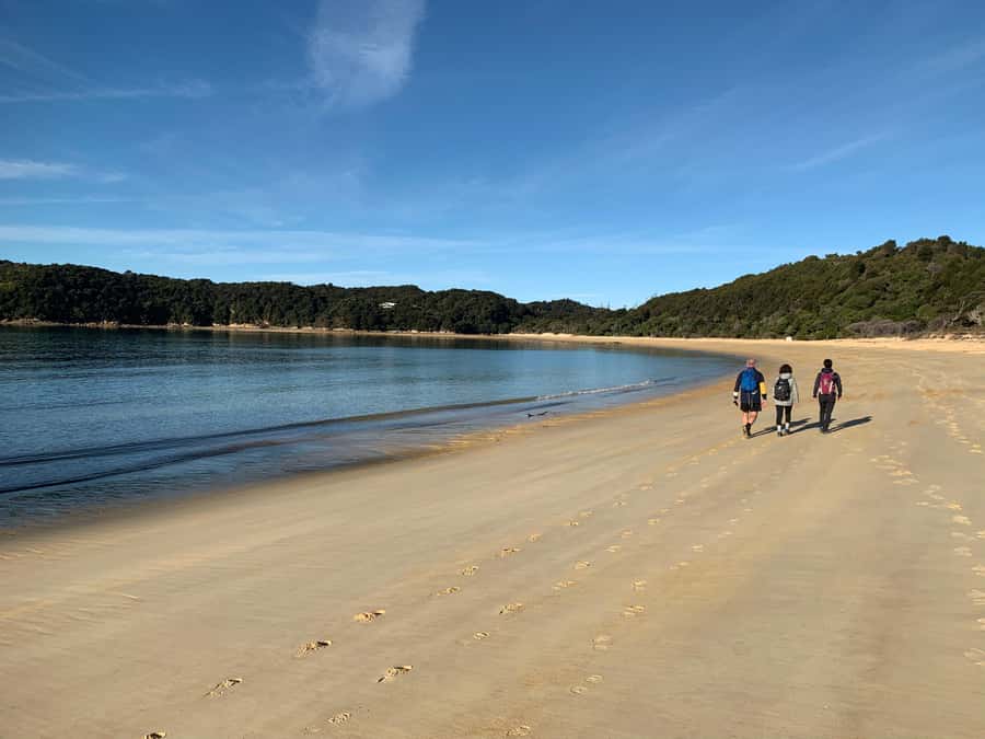 Abel Tasman National Park: Cruise and Hike Full-Day Tour - Māori and colonial stories along the trail