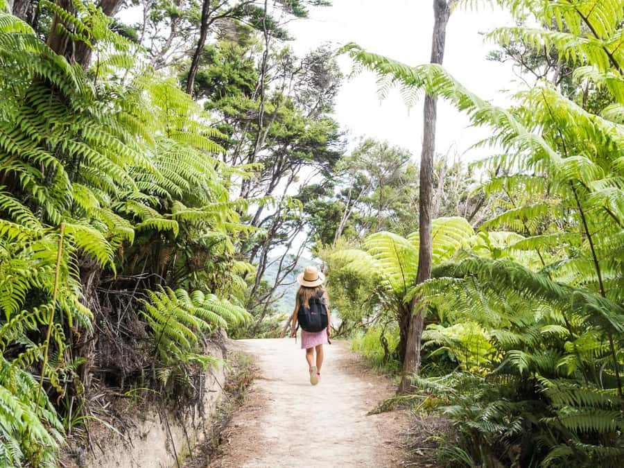 Abel Tasman National Park: Cruise and Hike Full-Day Tour - Lunch, swimming, and time beside the bays