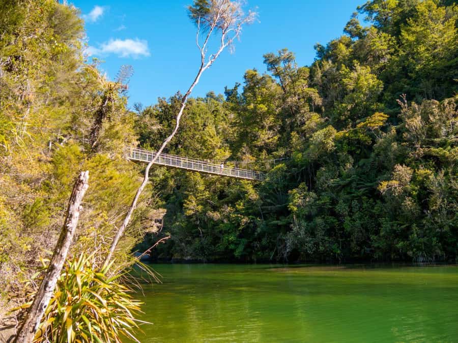 Abel Tasman National Park: Cruise and Hike Full-Day Tour - What the $358 price includes