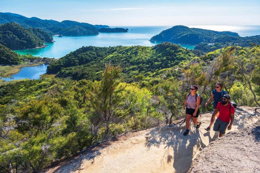 Abel Tasman National Park: Cruise, Kayak, & Hike Tour - Should You Spend $417 On This Tour?