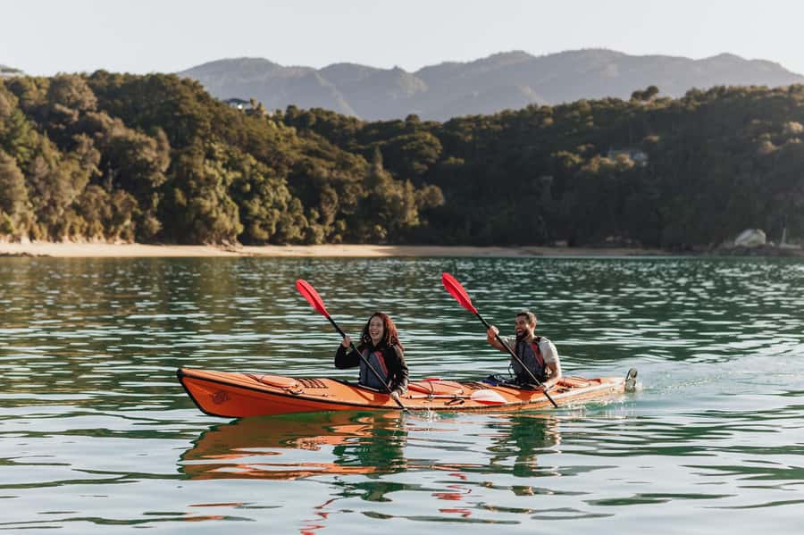 Abel Tasman National Park: Cruise, Kayak, & Hike Tour - Adele Island, Seals, And Birdsong