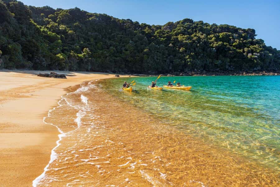 Abel Tasman National Park: Cruise, Kayak, & Hike Tour - The Coastal Track To Anchorage