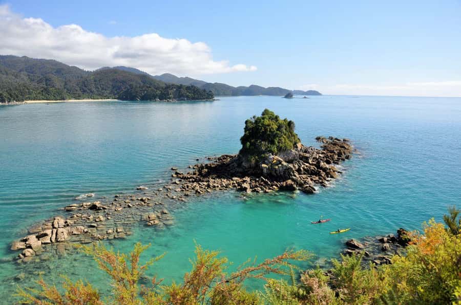 Abel Tasman National Park: Cruise, Kayak, & Hike Tour - Who Should Book It, And Who Should Think Twice