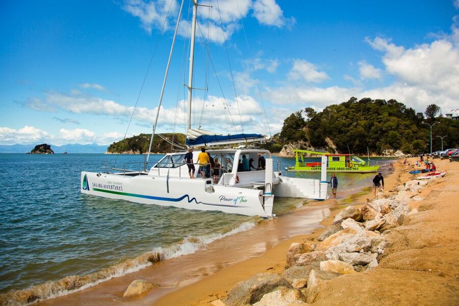 Abel Tasman National Park: Cruise, Walk & Sailing Tour - Seals, birds, and the coast from offshore