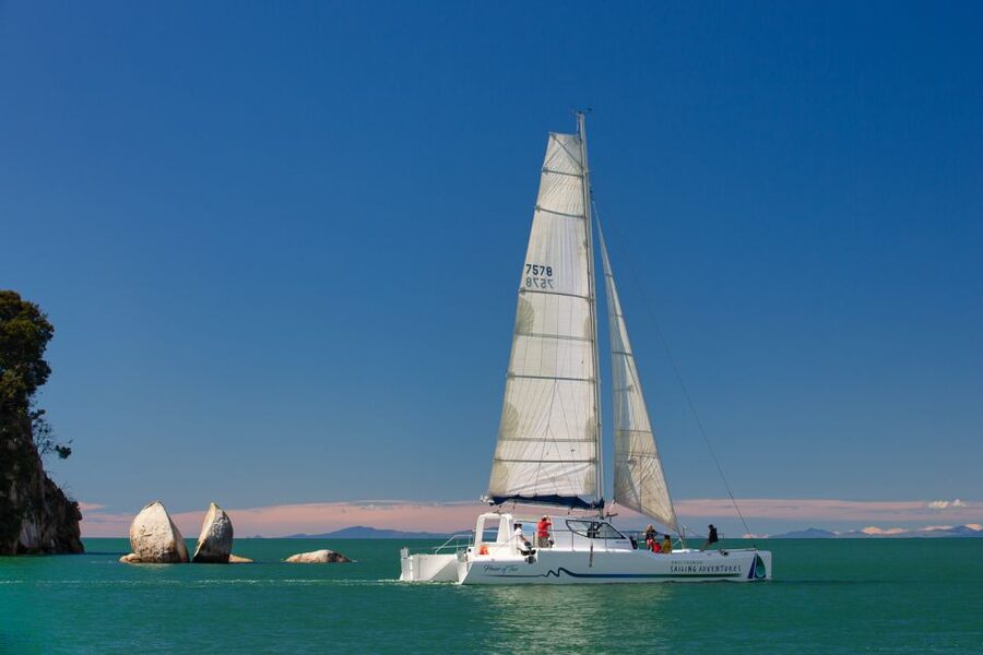 Abel Tasman National Park: Day Sailing Adventure with Lunch - Fur seals, native birds, and Adele Island