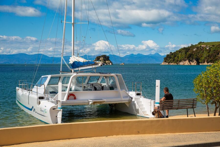 Abel Tasman National Park: Day Sailing Adventure with Lunch - Who will enjoy this day most