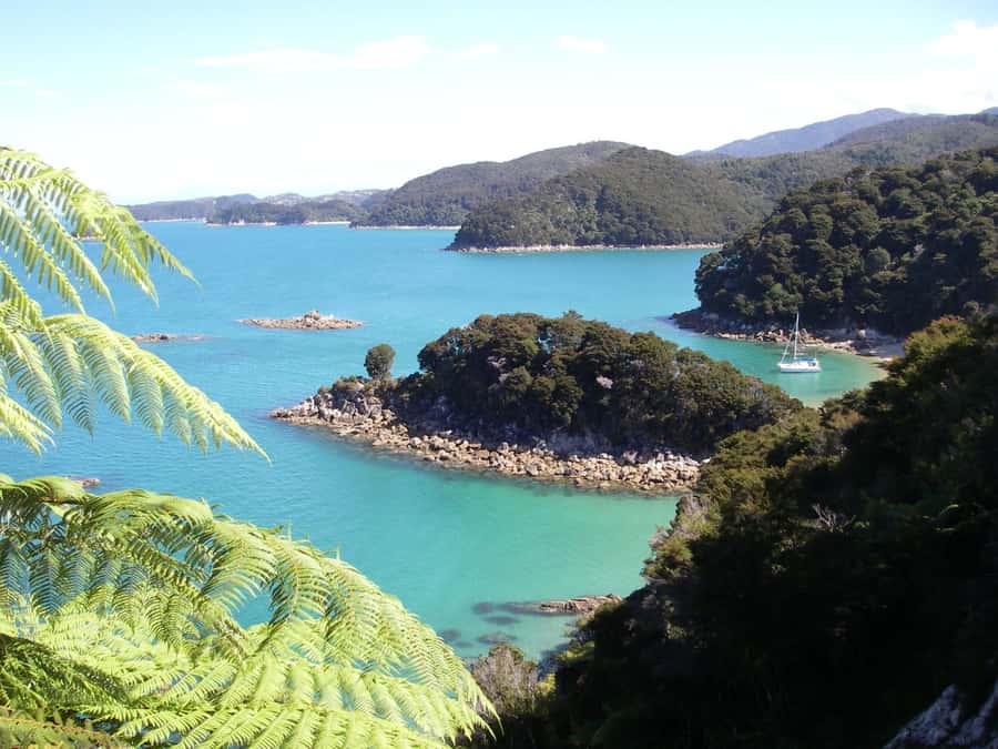 Abel Tasman National Park: Sailing and Self-Guided Walk - Begin in Marahau, not Kaiteriteri