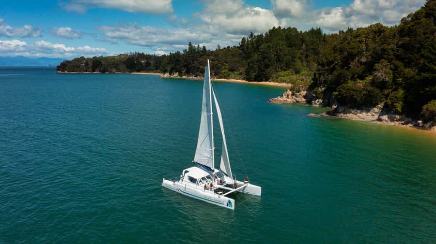 Abel Tasman National Park: Self-Guided Walk & Sailing - Native forest, beaches, and the arrival at Anchorage Bay