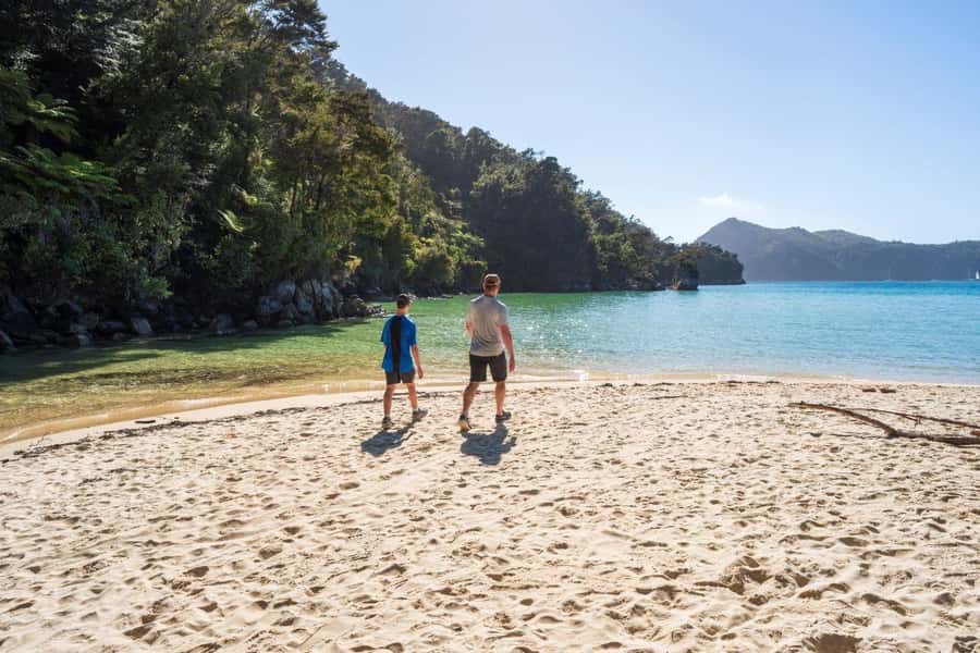 Abel Tasman National Park: Waka & Walk Tour - The 3 to 6 kilometre walk