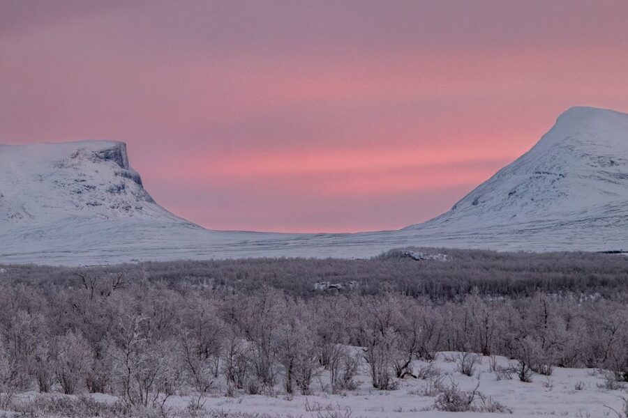 Abisko National Park: Scenic Morning Hike with Transfer - Who should book this Abisko experience?