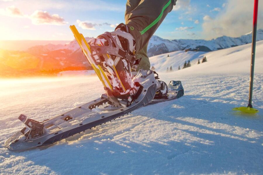 Abisko: Wilderness Snowshoe Hike - Key things to know before you book