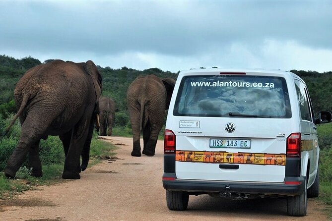 Addo Elephant National Park from Port Elizabeth - FD01 - Small groups and the feel of the vehicle
