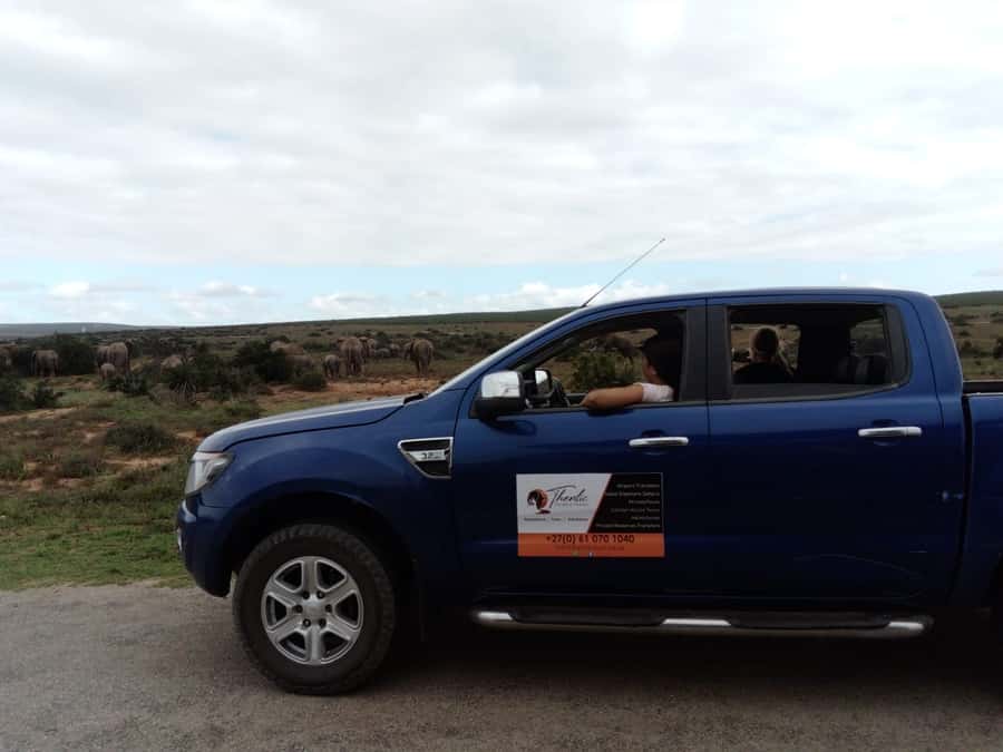 Addo Elephant National Park Game Drive Day Tour With Lunch - Morning pickup from Port Elizabeth and nearby towns