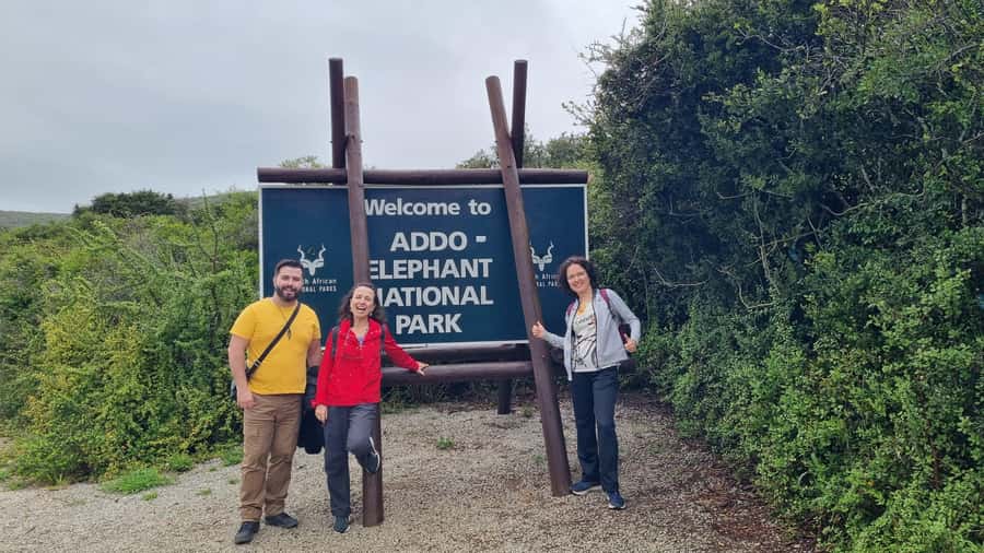 Addo Elephant National Park Half-Day Safari - Key Points To Know Before You Book