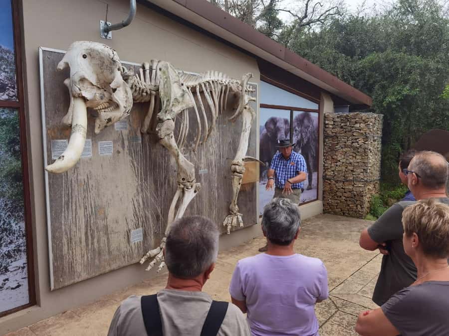Addo Elephant National Park Half-Day Safari - The Braai Question: A Highlight That Costs Extra