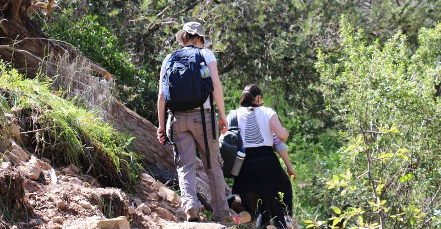 Adelaide: Morialta Wilderness and Wildlife Hike - What the guide adds to the walk