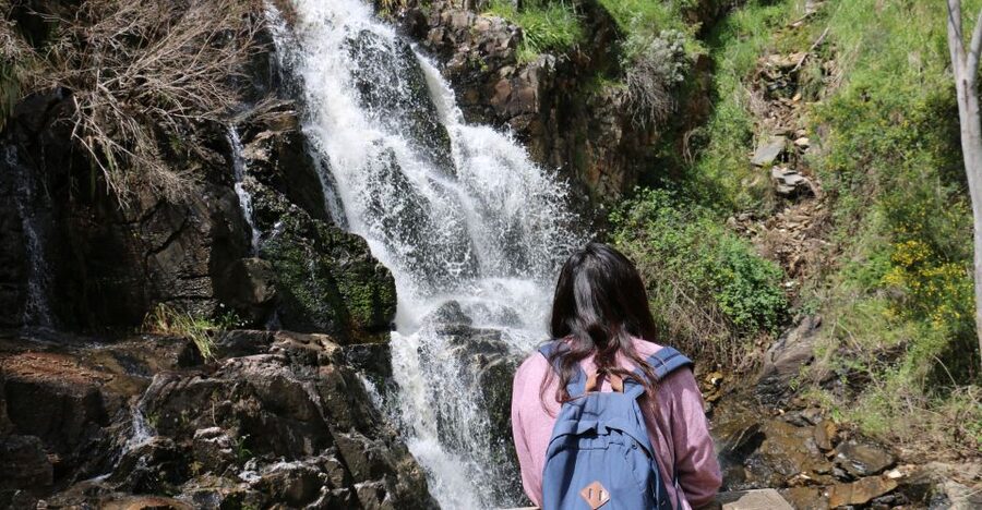 Adelaide: Morialta Wilderness and Wildlife Hike - Transport, timing, and what the price covers