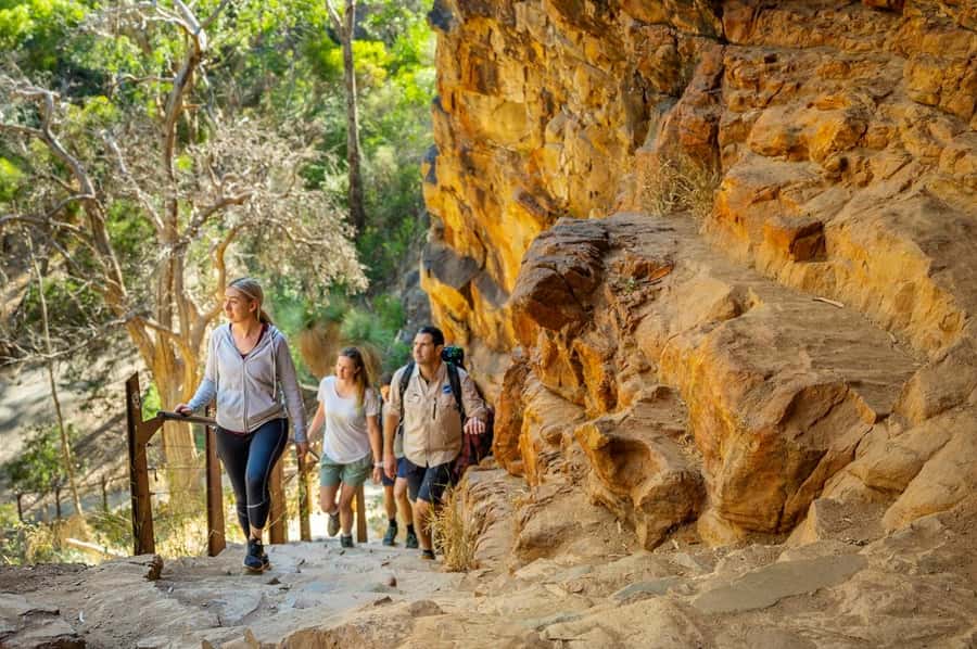 Adelaide: Morialta Wilderness and Wildlife Hike - Weather, fitness, and the right packing list