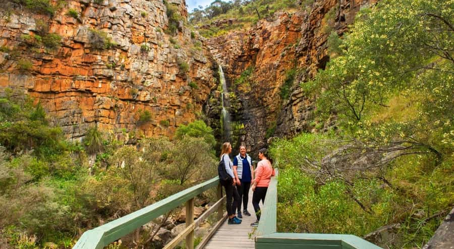 Adelaide: Morialta Wilderness and Wildlife Hike - The best seasons and possible trade-offs