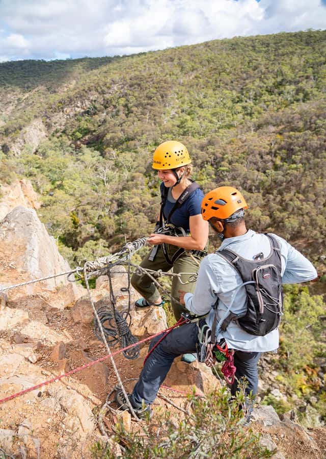 Adelaide: Rock Climb and Abseil Onkaparinga National Park - Wildlife in a working outdoor reserve