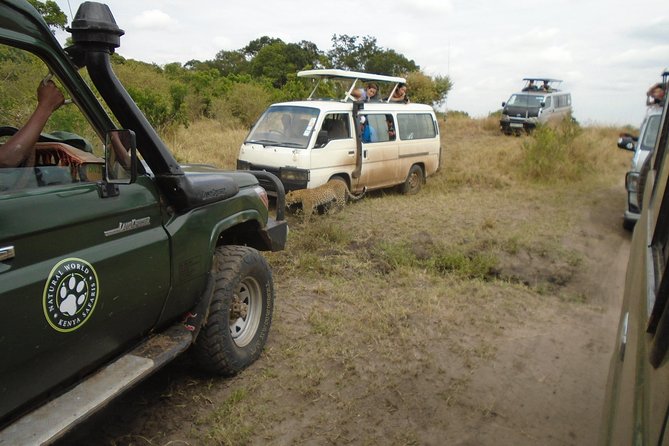 African Wildlife & Nature - 5 Kenya national parks - 6 day Jeep Safari - Mzima Springs and Amboseli on day two