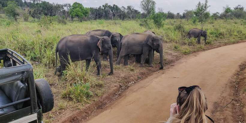 Ahangama: Udawalawe National Park Safari with Hotel Pickup - Changing cars near the national park