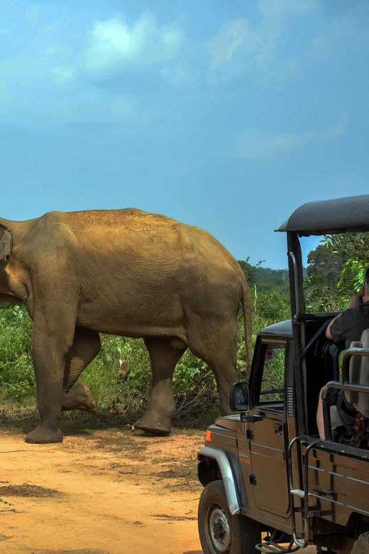 Ahangama: Udawalawe National Park Safari with Hotel Pickup - Who should book this Udawalawe day trip?