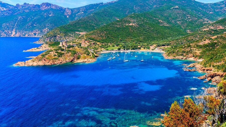 Ajaccio: Guided Scandola Nature Reserve Boat Tour - What $117 includes, and what it does not