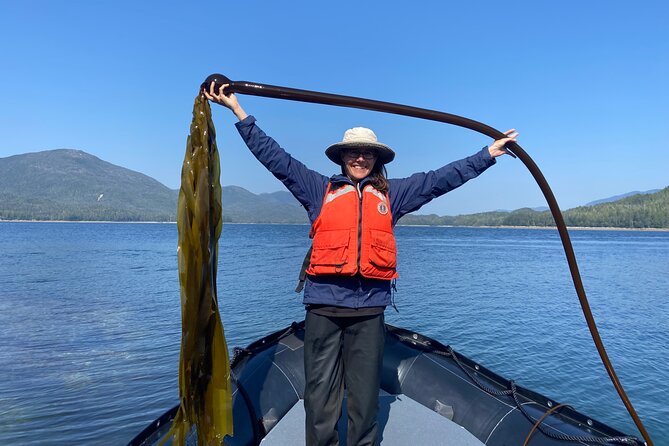 Alaska Ocean Wilderness Expedition - Key points at a glance