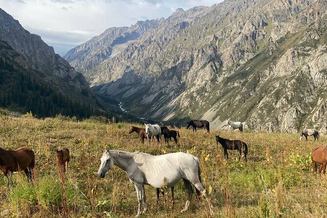 All in one-day: Bishkek city tour and Ala-Archa National Park - Philharmonic Hall and Bishkek’s grand civic buildings