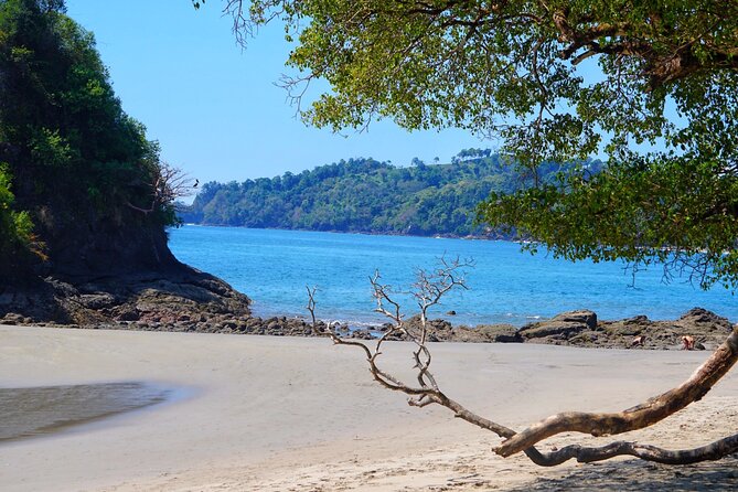 All Inclusive National Park Manuel Antonio with Binoculars - Why this short Manuel Antonio tour works