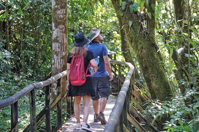 All Inclusive National Park Manuel Antonio with Binoculars - Walking the scenic paths with a naturalist guide