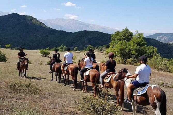 Amazing Horse Riding Experience at Vjosa National Park in Permet - Horses that are treated as working animals, not props